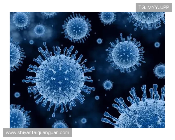 亚星手机版：安全下载途径与防止病毒的注意事项