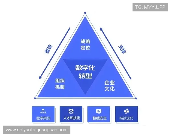 亚星管理平台网：实现企业数字化转型的专业管理工具